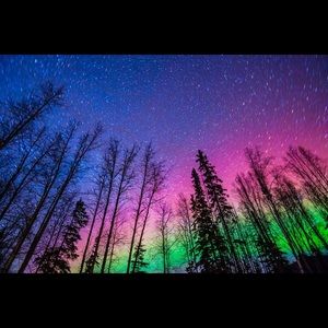 Do not buy: Trade for @thriftygypsy16